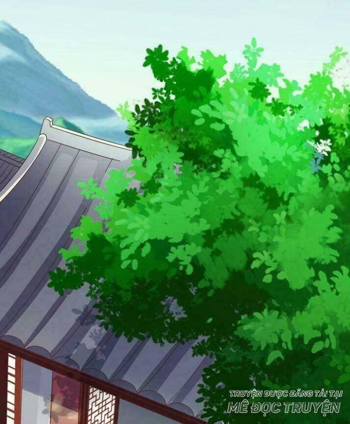 Tuyệt Sắc Quyến Rũ: Quỷ Y Chí Tôn: Chapter 35