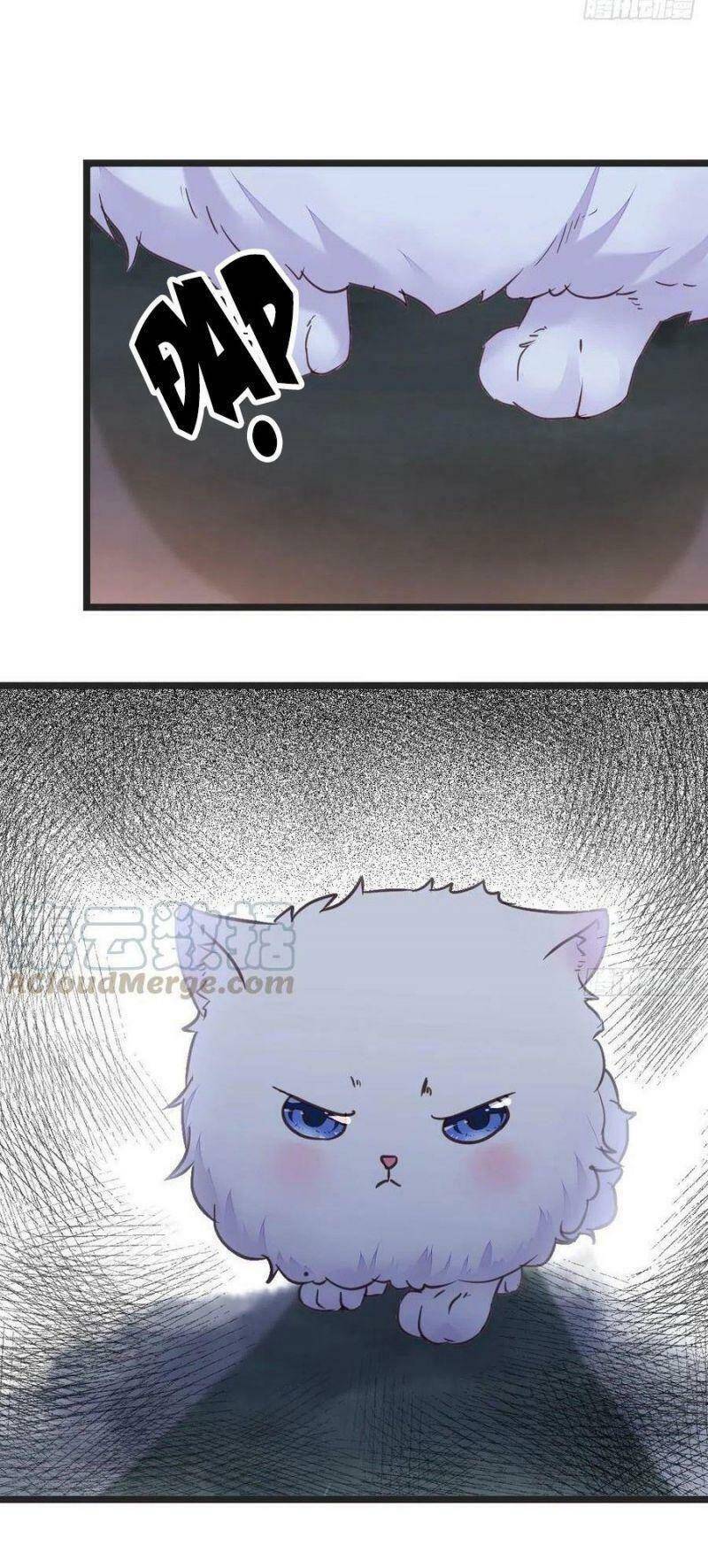 Tuyệt Sắc Quyến Rũ: Quỷ Y Chí Tôn: Chapter 355