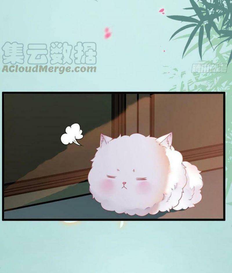 Tuyệt Sắc Quyến Rũ: Quỷ Y Chí Tôn: Chapter 376