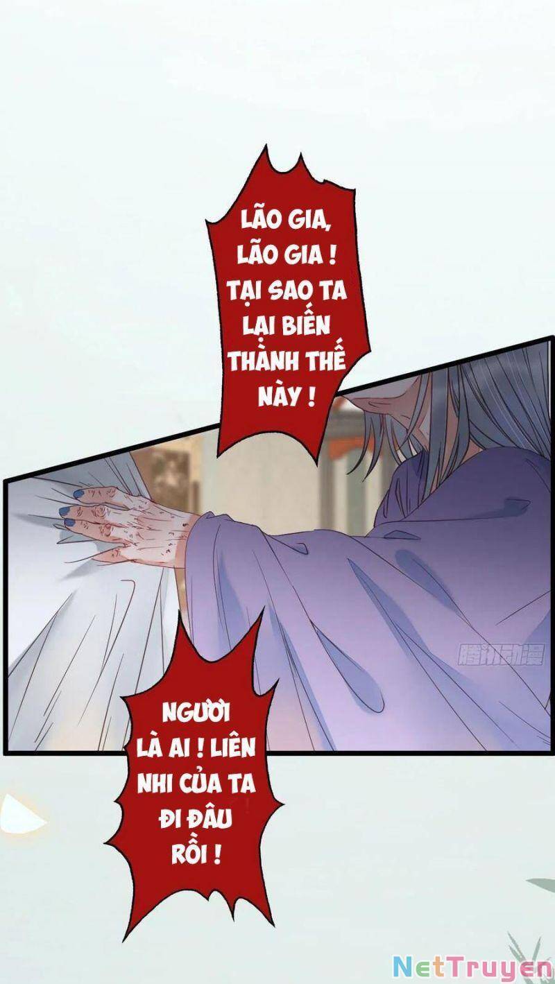 Tuyệt Sắc Quyến Rũ: Quỷ Y Chí Tôn: Chapter 381