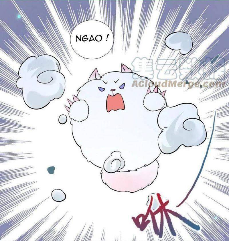 Tuyệt Sắc Quyến Rũ: Quỷ Y Chí Tôn: Chapter 416