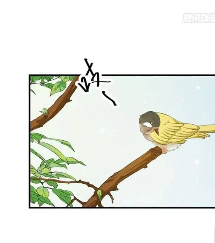 Tuyệt Sắc Quyến Rũ: Quỷ Y Chí Tôn: Chapter 67