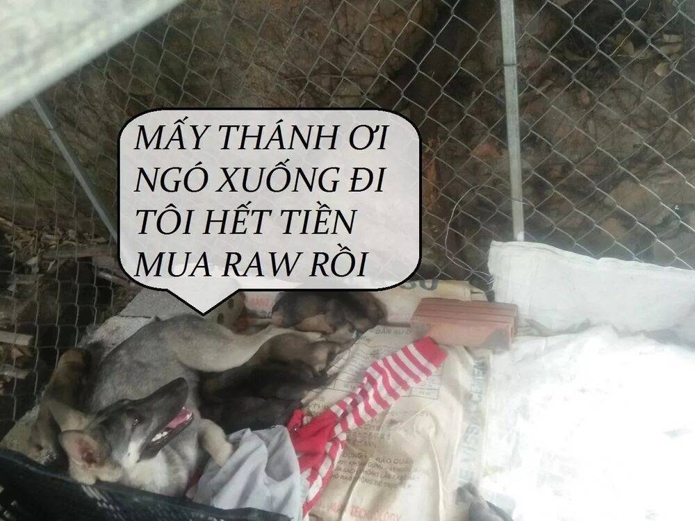 Tuyệt Sắc Quyến Rũ: Quỷ Y Chí Tôn: Chapter 82