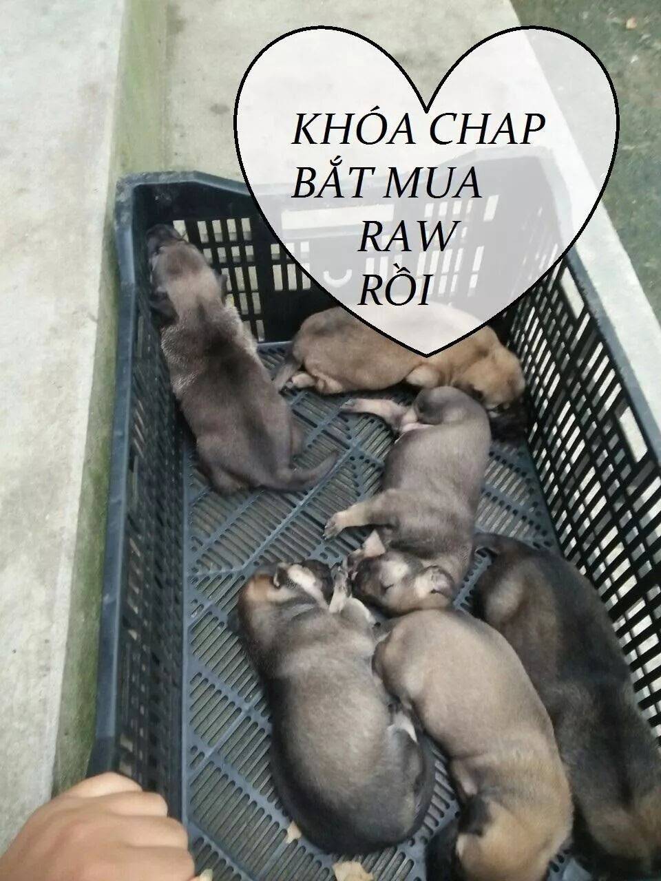 Tuyệt Sắc Quyến Rũ: Quỷ Y Chí Tôn: Chapter 82