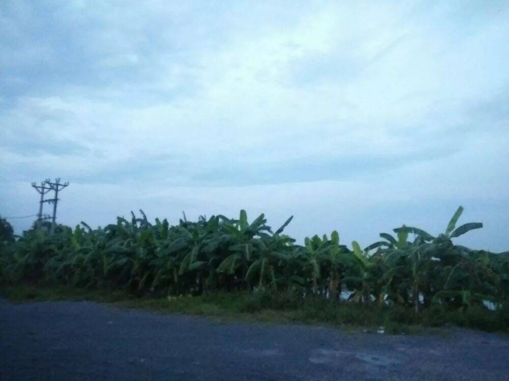 Tuyệt Sắc Quyến Rũ: Quỷ Y Chí Tôn: Chapter 91