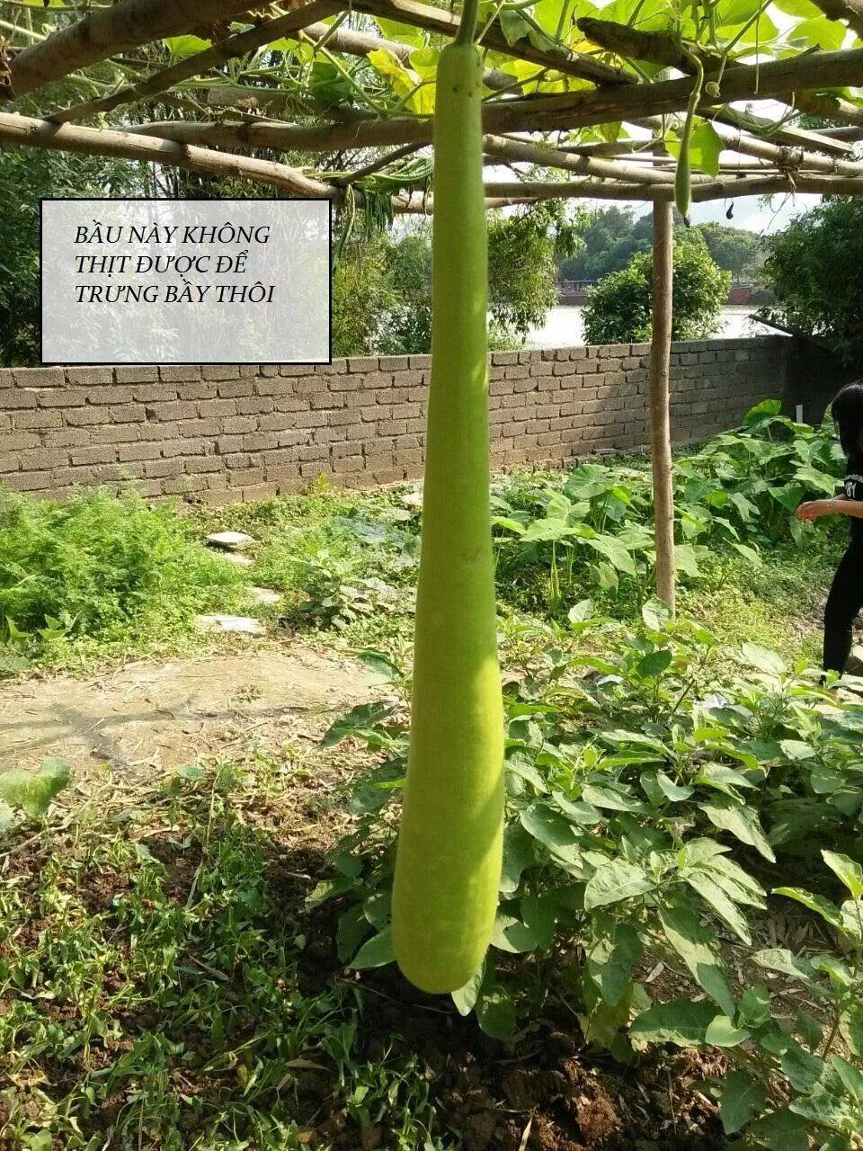 Tuyệt Sắc Quyến Rũ: Quỷ Y Chí Tôn: Chapter 91