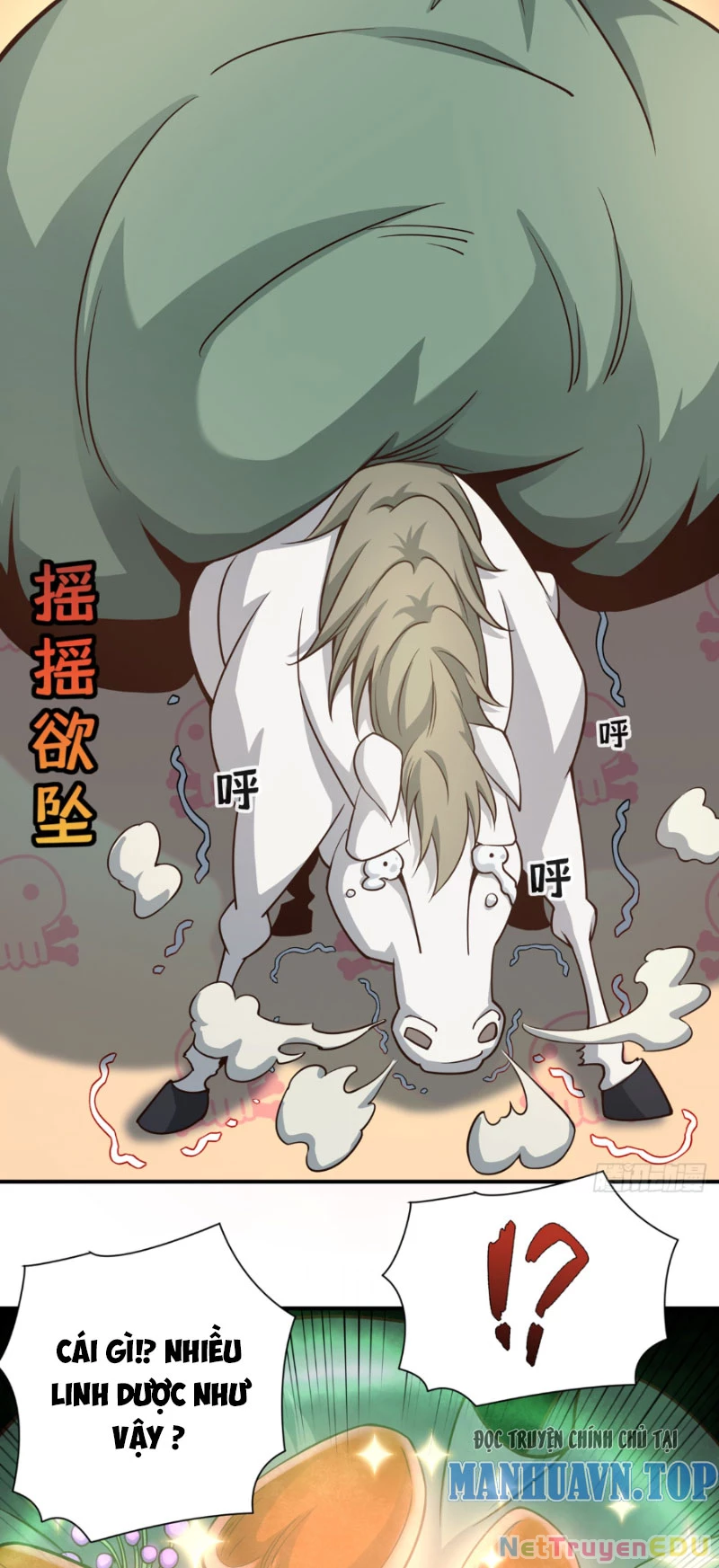 Tuyệt Thế Đan Thần: Chapter 17