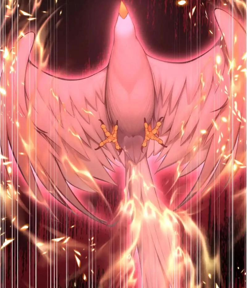 Tuyệt Thế Đan Thần: Chapter 216