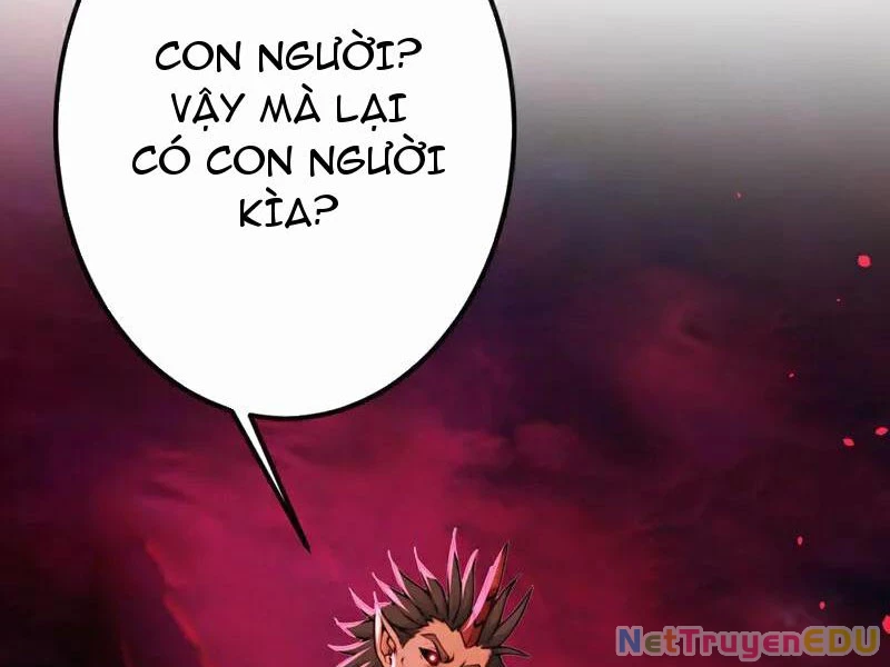 Tuyệt Thế Đan Thần: Chapter 245