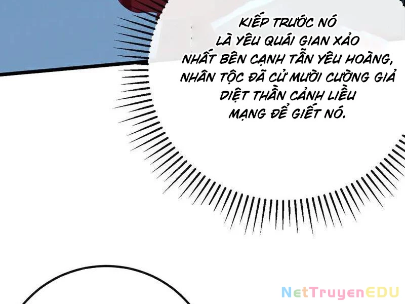 Tuyệt Thế Đan Thần: Chapter 255