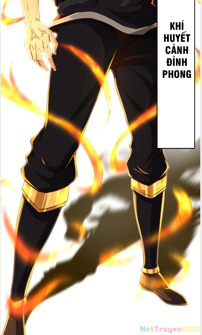 Tuyệt Thế Đan Thần: Chapter 29