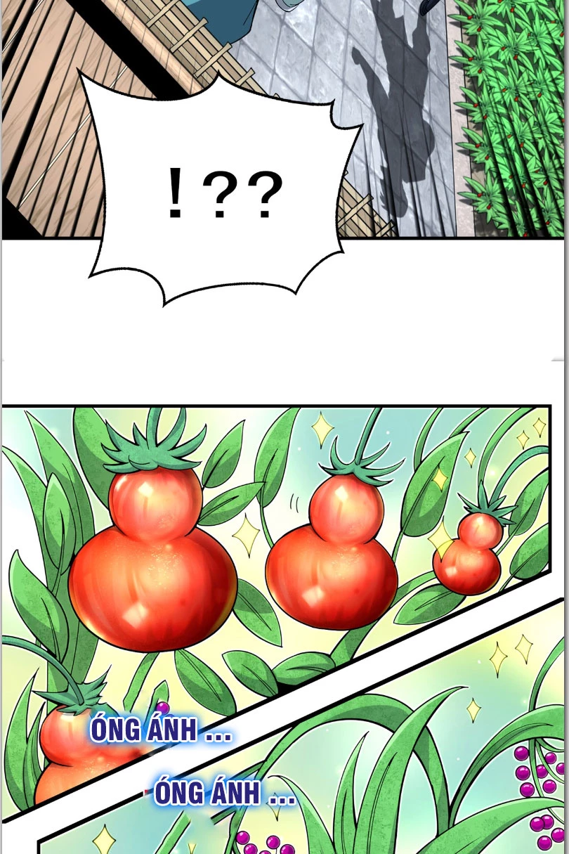 Tuyệt Thế Đan Thần: Chapter 3