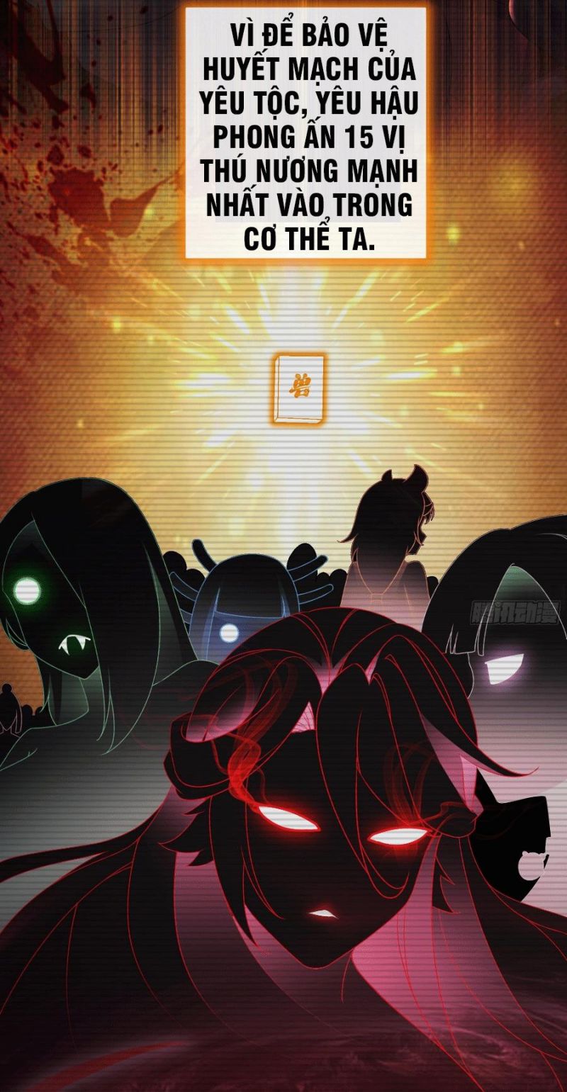 Tuyệt Thế Đạo Lữ: Chapter 2