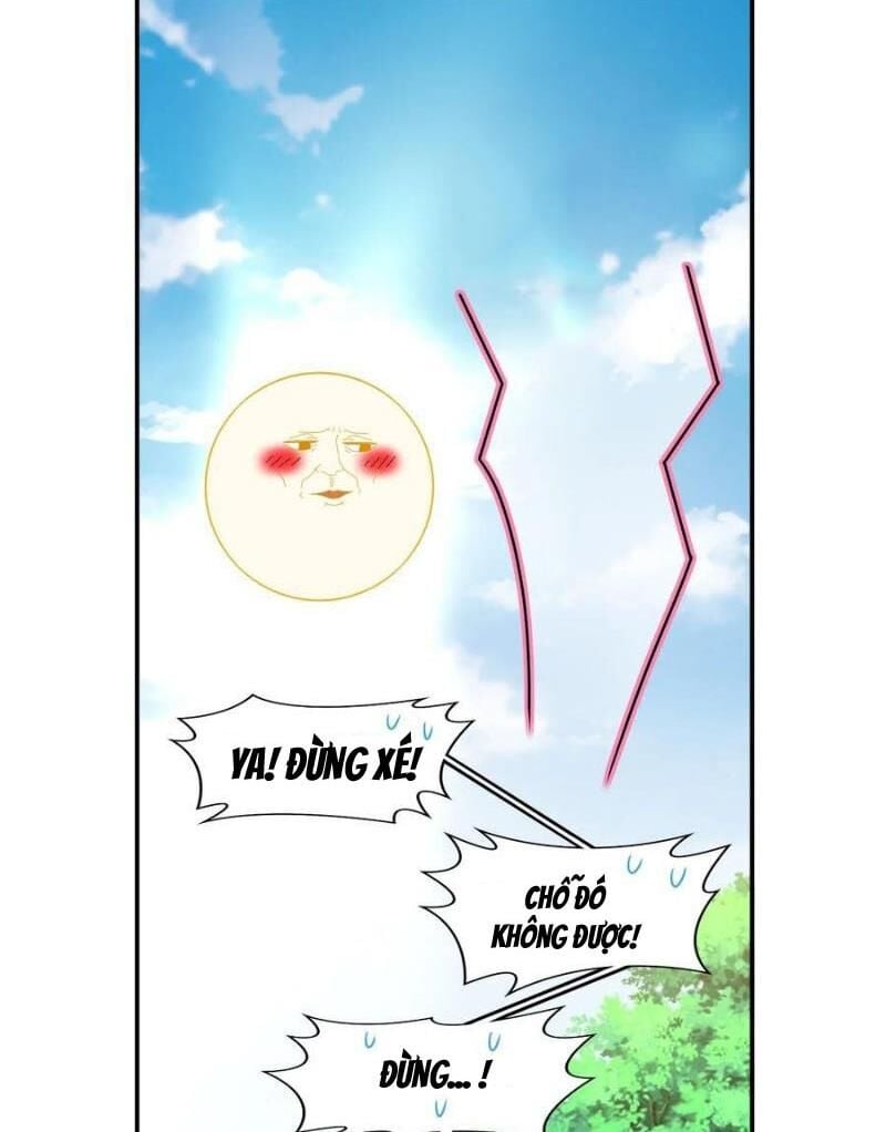 Tuyệt Thế Đạo Lữ: Chapter 311