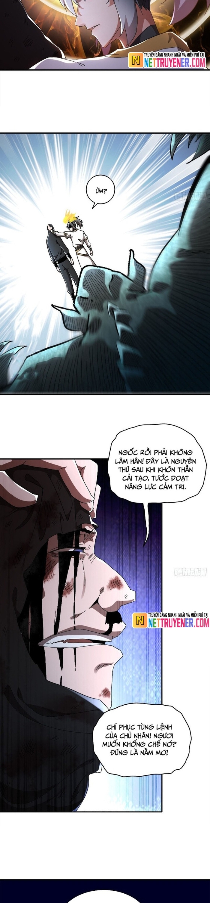 Tuyệt Thế Đạo Lữ: Chapter 384