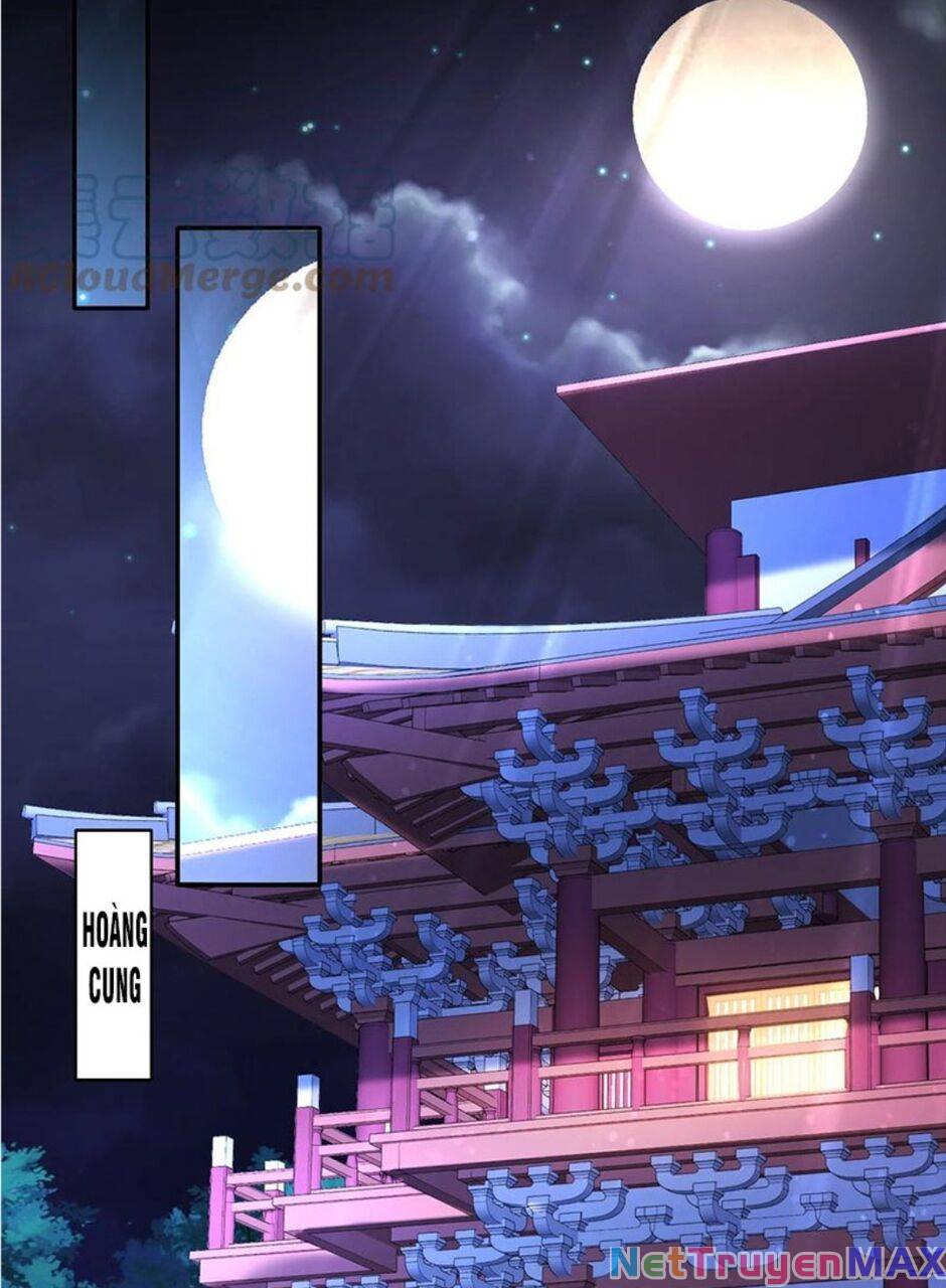 Tuyệt Thế Đạo Lữ: Chapter 53