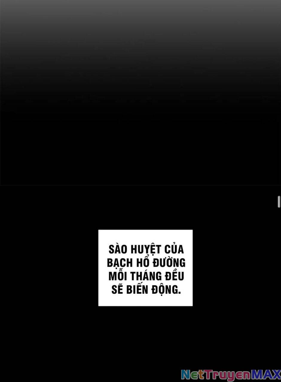 Tuyệt Thế Đạo Lữ: Chapter 53