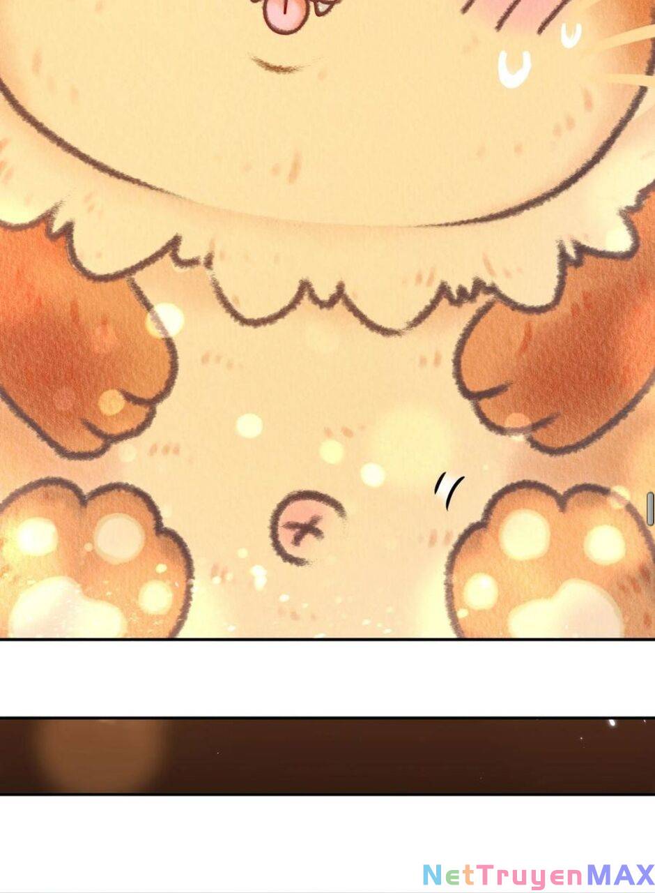 Tuyệt Thế Đạo Lữ: Chapter 58