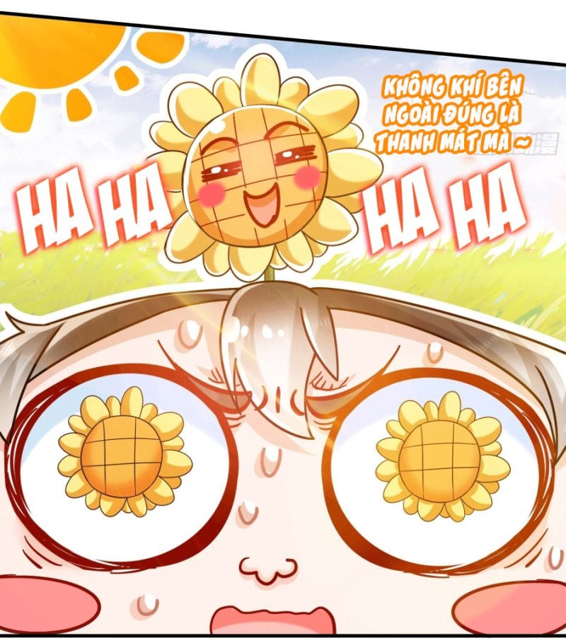 Tuyệt Thế Đạo Lữ: Chapter 6