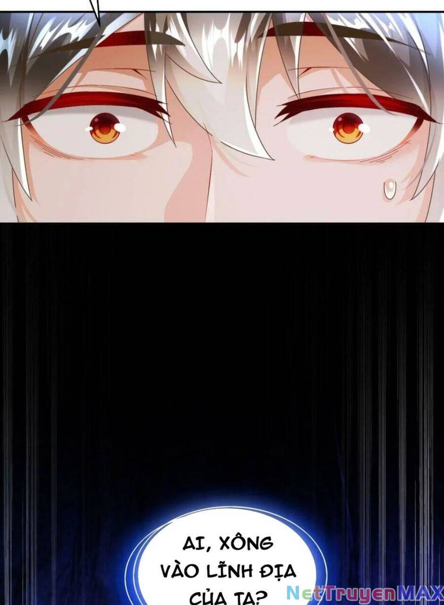 Tuyệt Thế Đạo Lữ: Chapter 81