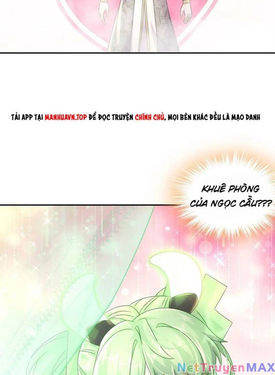 Tuyệt Thế Đạo Lữ: Chapter 82