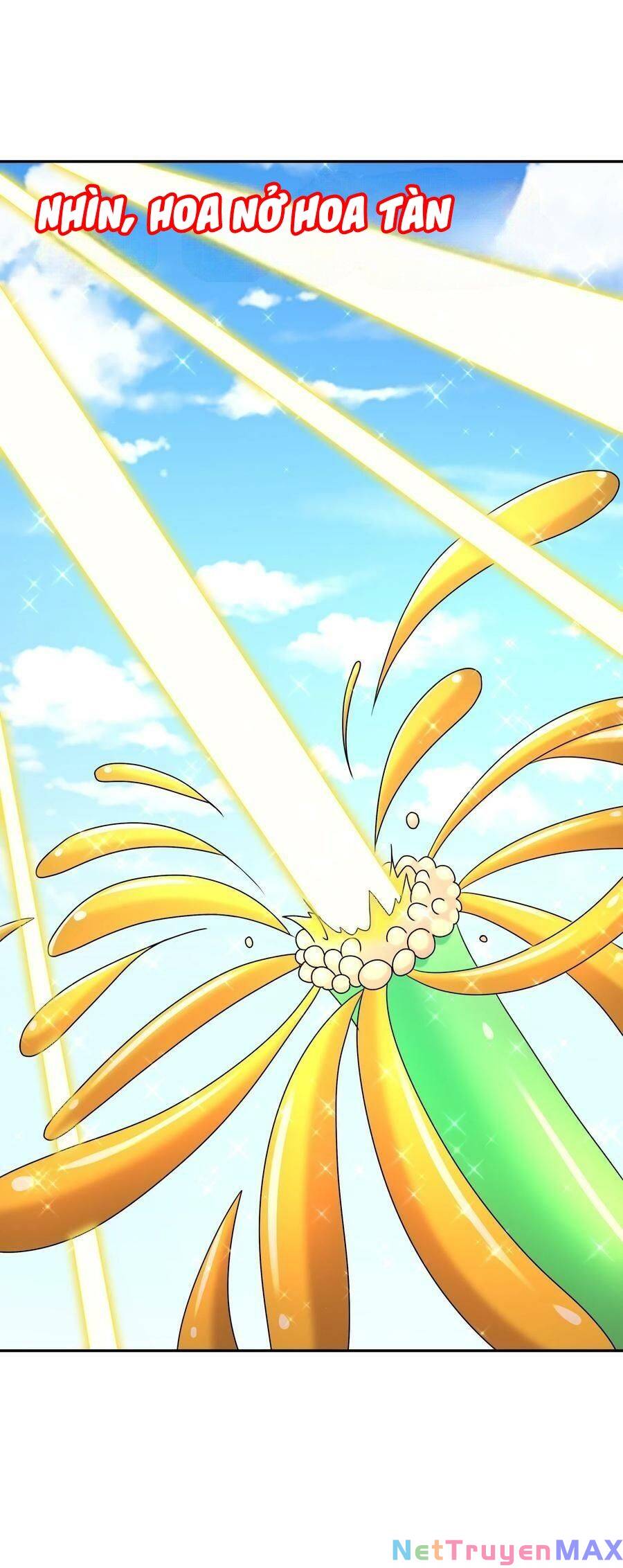 Tuyệt Thế Đạo Lữ: Chapter 95