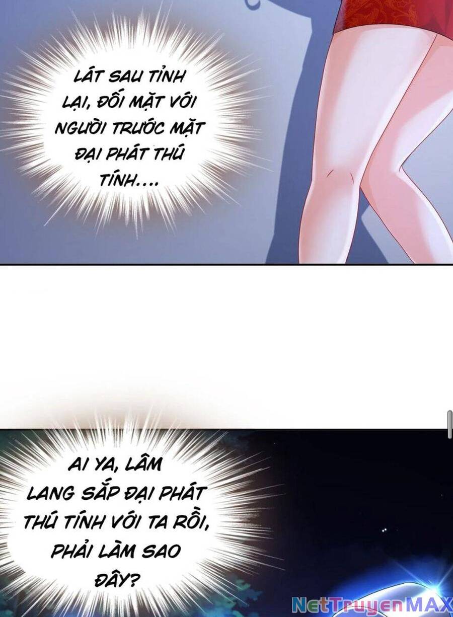 Tuyệt Thế Đạo Lữ: Chapter 98