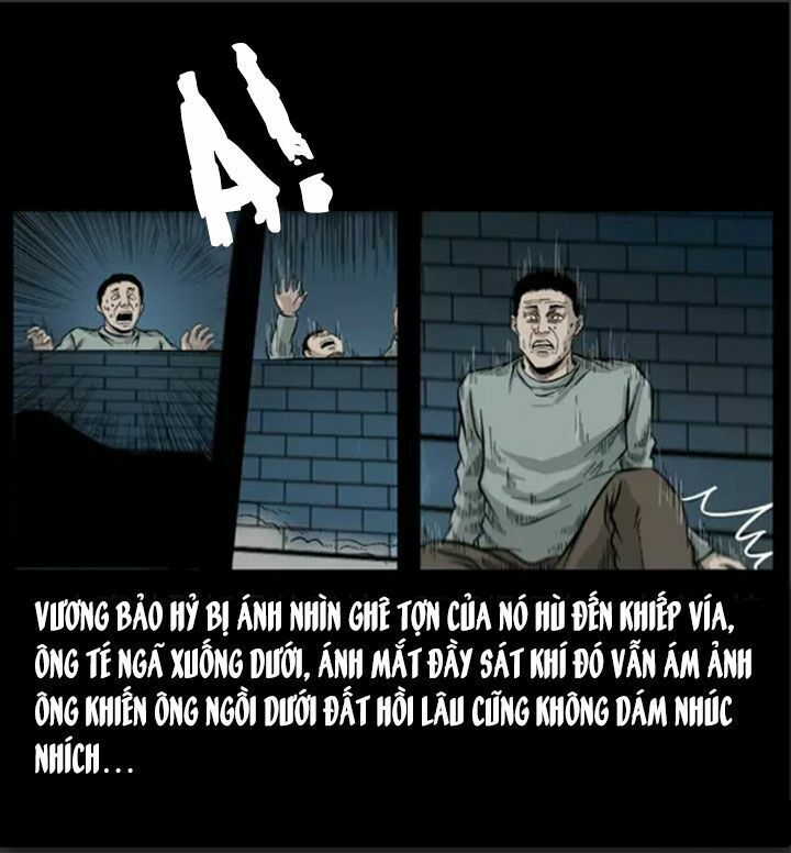 U Minh Ngụy Tượng: Chapter 56.1