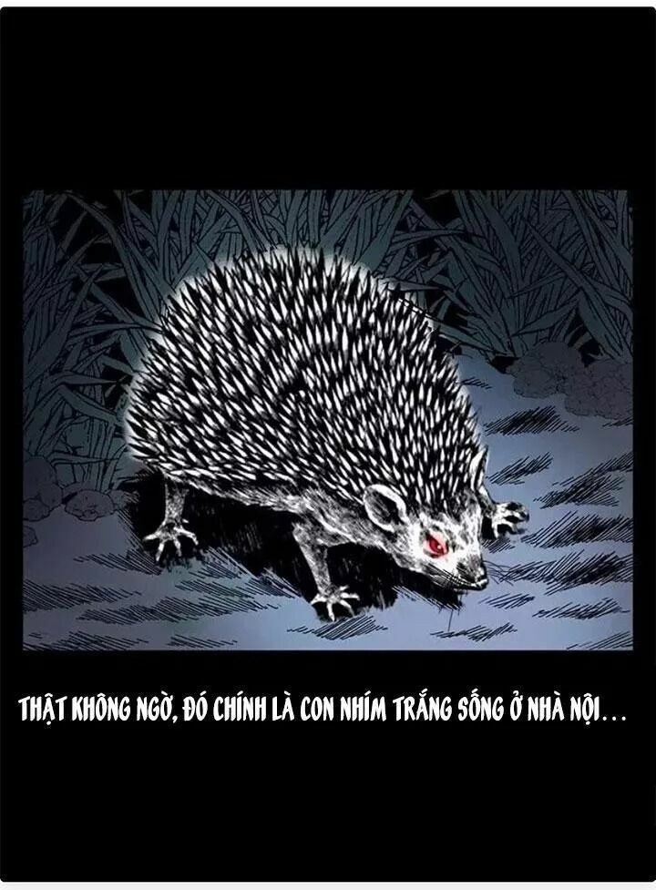 U Minh Ngụy Tượng: Chapter 79.1
