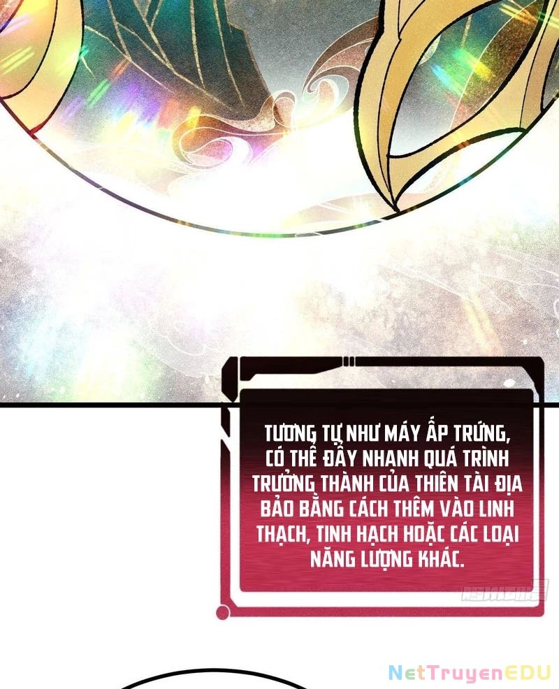 Vạn Cổ Tối Cường Tông: Chapter 399.1