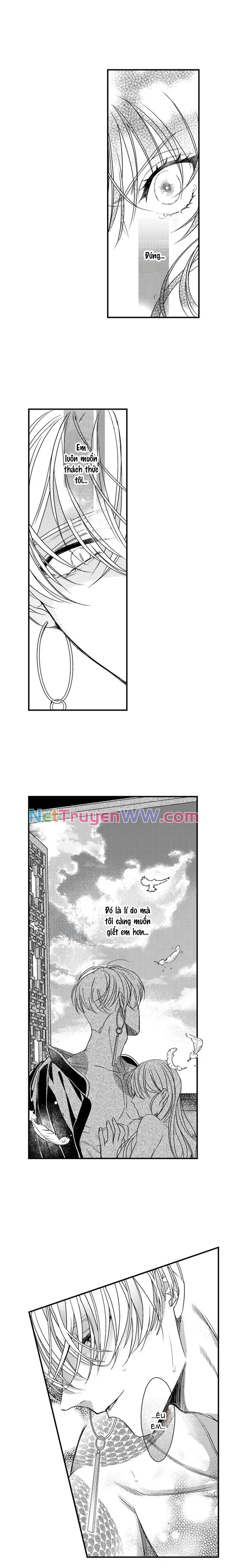 Ván Cược Tình Ái: Chapter 17