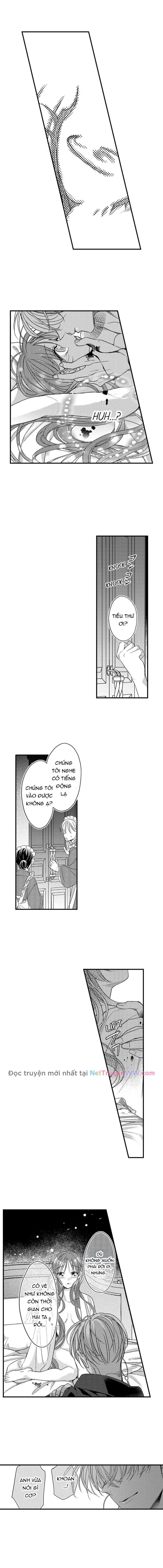 Ván Cược Tình Ái: Chapter 17