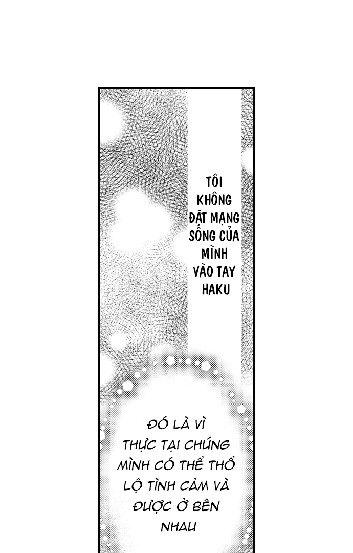 Ván Cược Tình Ái: Chapter 20