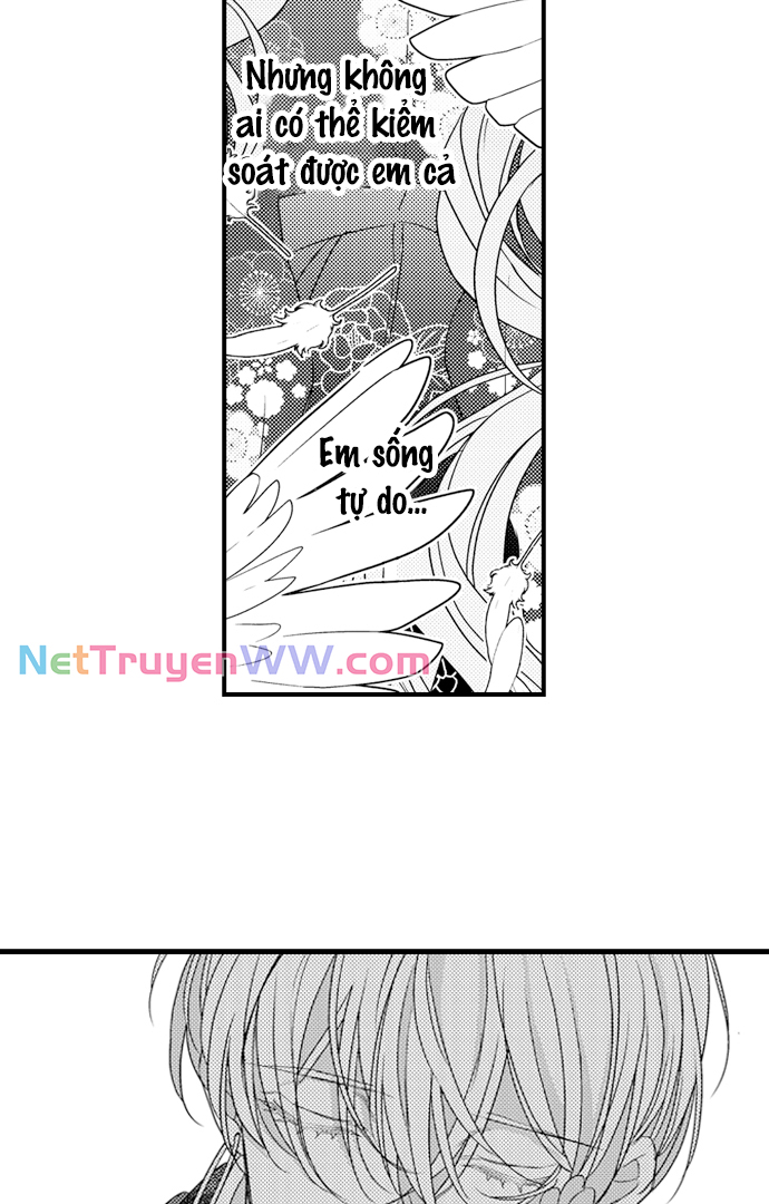 Ván Cược Tình Ái: Chapter 20