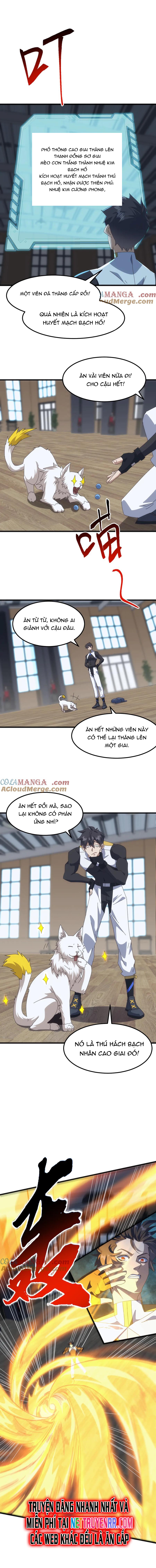 Vạn Tộc Xâm Lấn: Bắt Đầu Thuần Hóa: Chapter 13