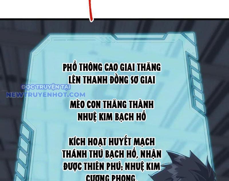 Vạn Tộc Xâm Lược: Bắt Đầu Thuần Hóa Cự Thú Cấp Sử Thi: Chapter 13