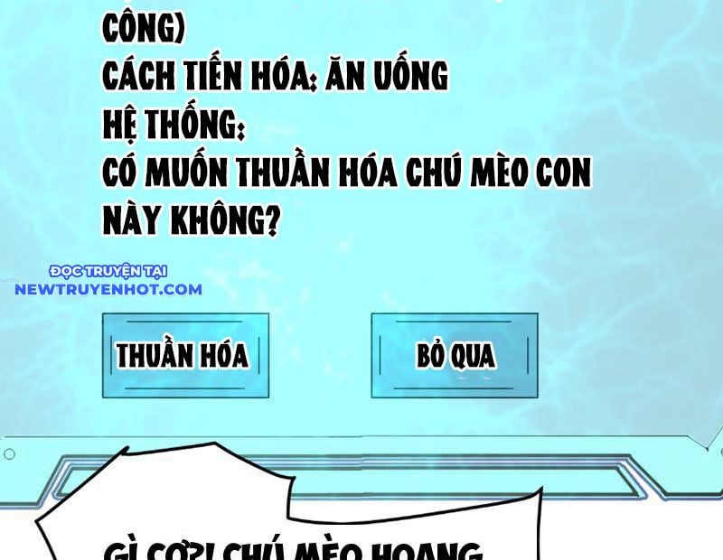Vạn Tộc Xâm Lược: Bắt Đầu Thuần Hóa Cự Thú Cấp Sử Thi: Chapter 8