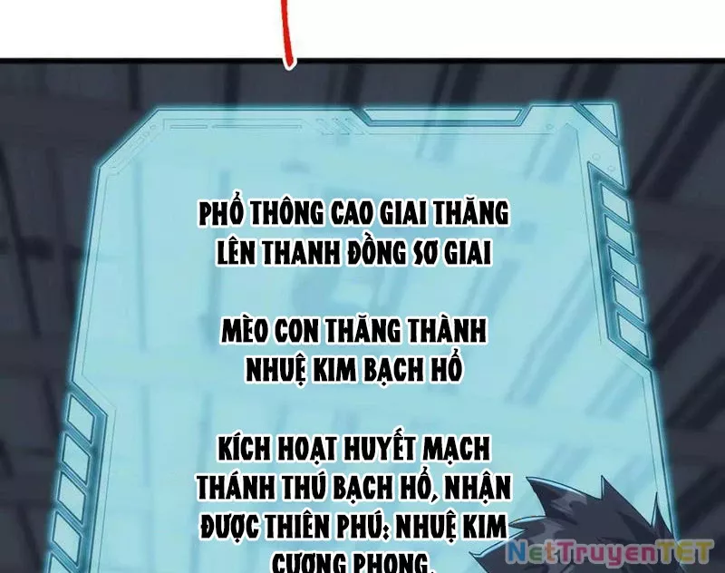 Vạn Tộc Xâm Lược :Mở Đầu Thuần Hóa Cự Thú Cấp Sử Thi: Chapter 13