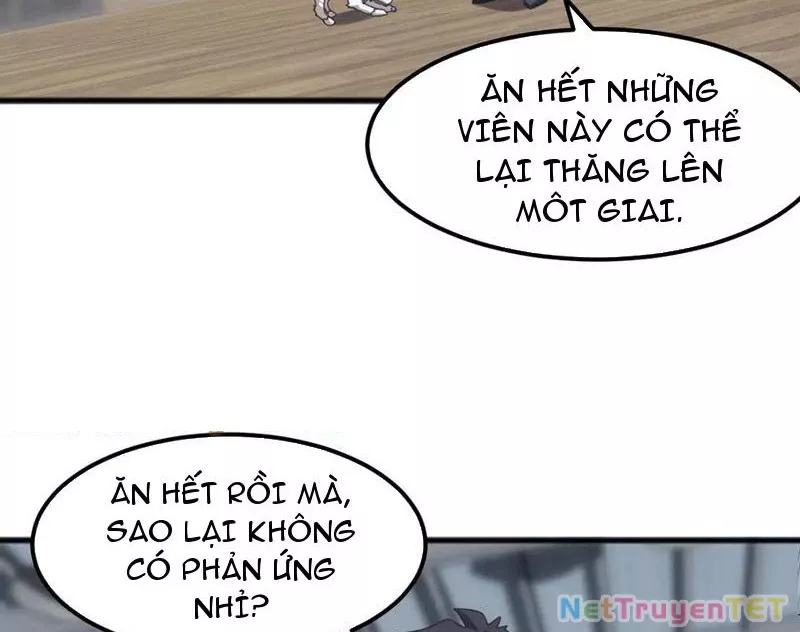 Vạn Tộc Xâm Lược :Mở Đầu Thuần Hóa Cự Thú Cấp Sử Thi: Chapter 13