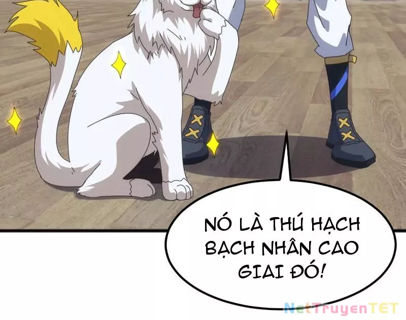 Vạn Tộc Xâm Lược :Mở Đầu Thuần Hóa Cự Thú Cấp Sử Thi: Chapter 13