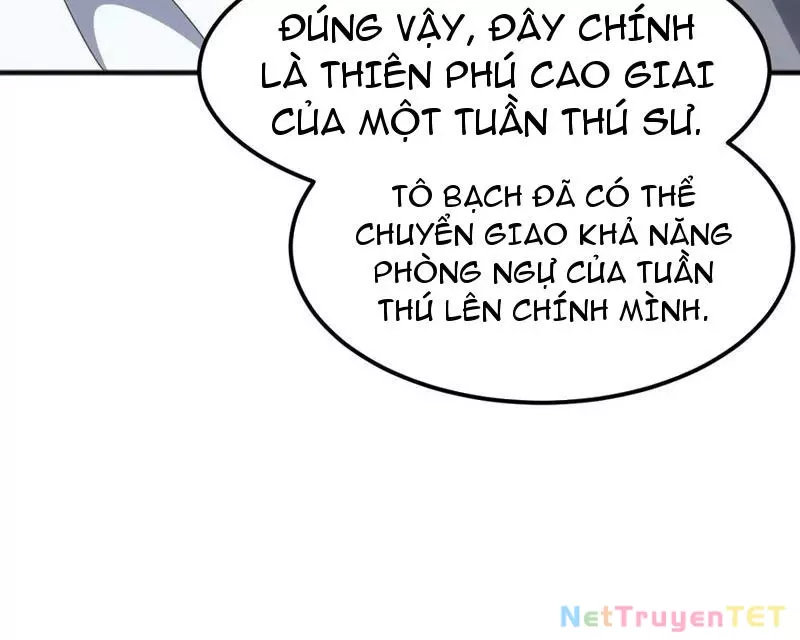 Vạn Tộc Xâm Lược :Mở Đầu Thuần Hóa Cự Thú Cấp Sử Thi: Chapter 13