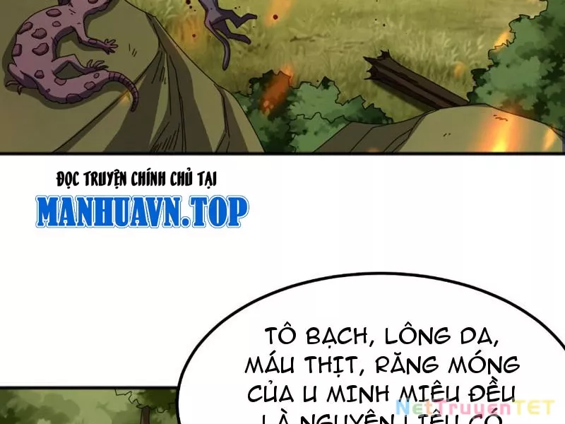 Vạn Tộc Xâm Lược :Mở Đầu Thuần Hóa Cự Thú Cấp Sử Thi: Chapter 5