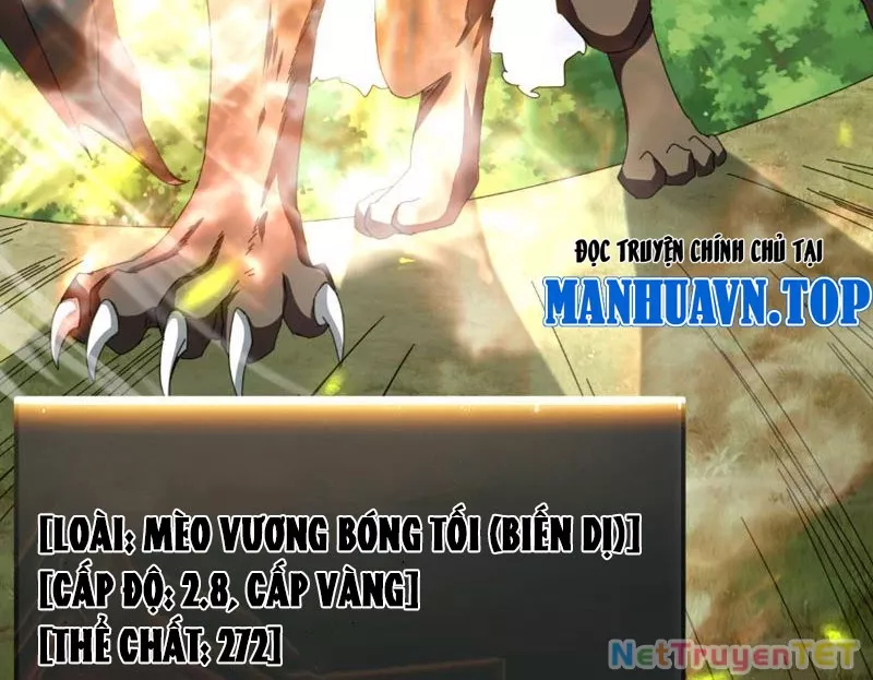 Vạn Tộc Xâm Lược :Mở Đầu Thuần Hóa Cự Thú Cấp Sử Thi: Chapter 6