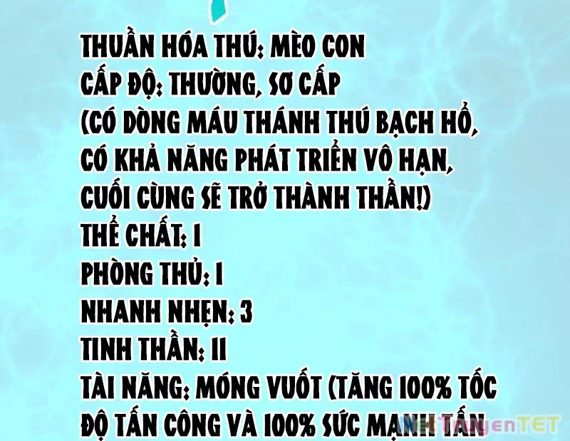 Vạn Tộc Xâm Lược :Mở Đầu Thuần Hóa Cự Thú Cấp Sử Thi: Chapter 8