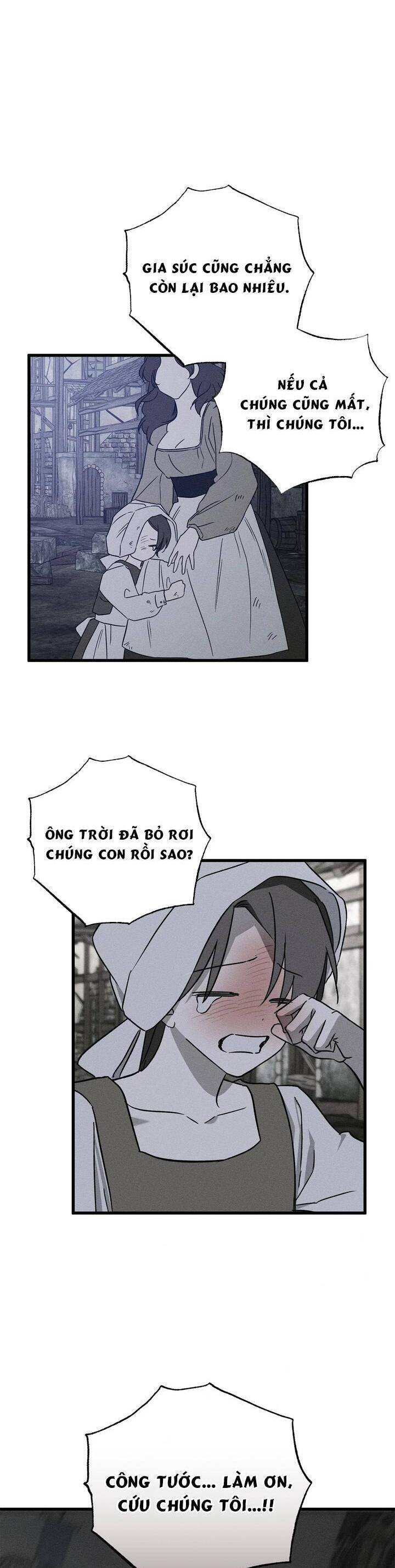 Vị Phu Quân Căm Ghét Tôi Đã Mất Trí Nhớ: Chapter 52
