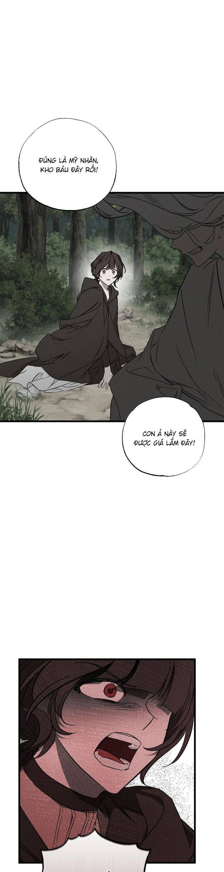 Vị Phu Quân Căm Ghét Tôi Đã Mất Trí Nhớ: Chapter 54