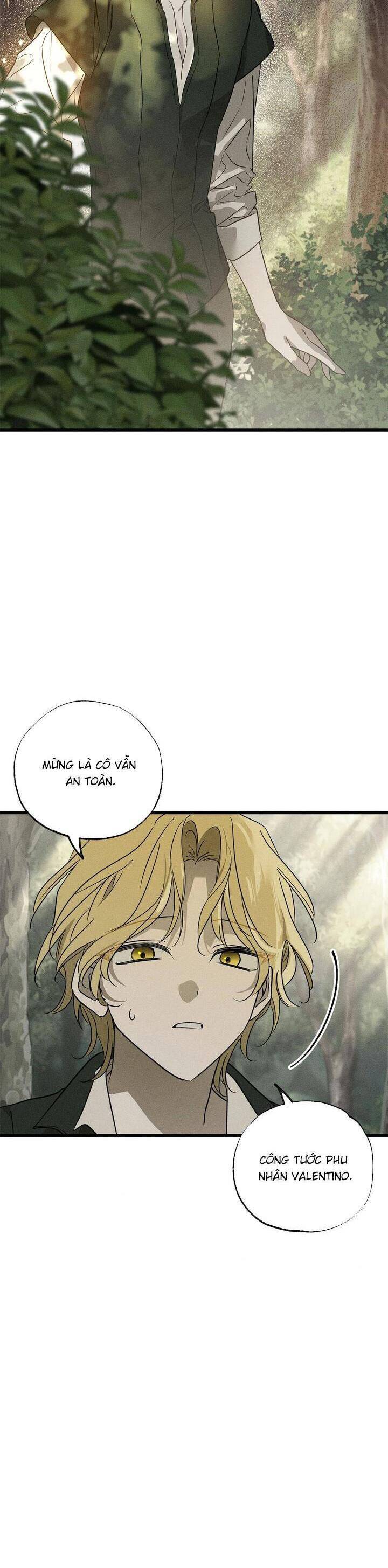 Vị Phu Quân Căm Ghét Tôi Đã Mất Trí Nhớ: Chapter 54