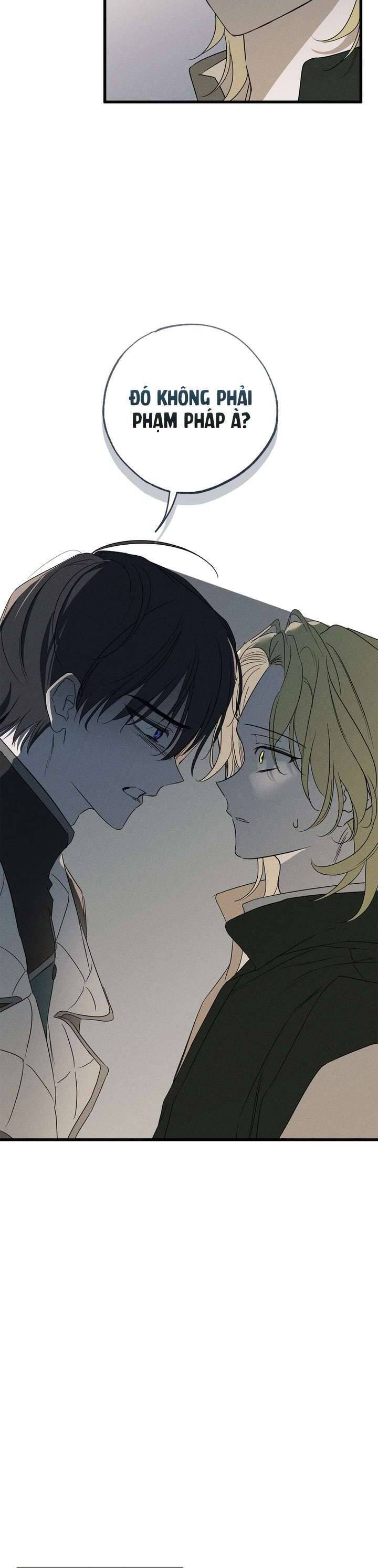 Vị Phu Quân Căm Ghét Tôi Đã Mất Trí Nhớ: Chapter 57