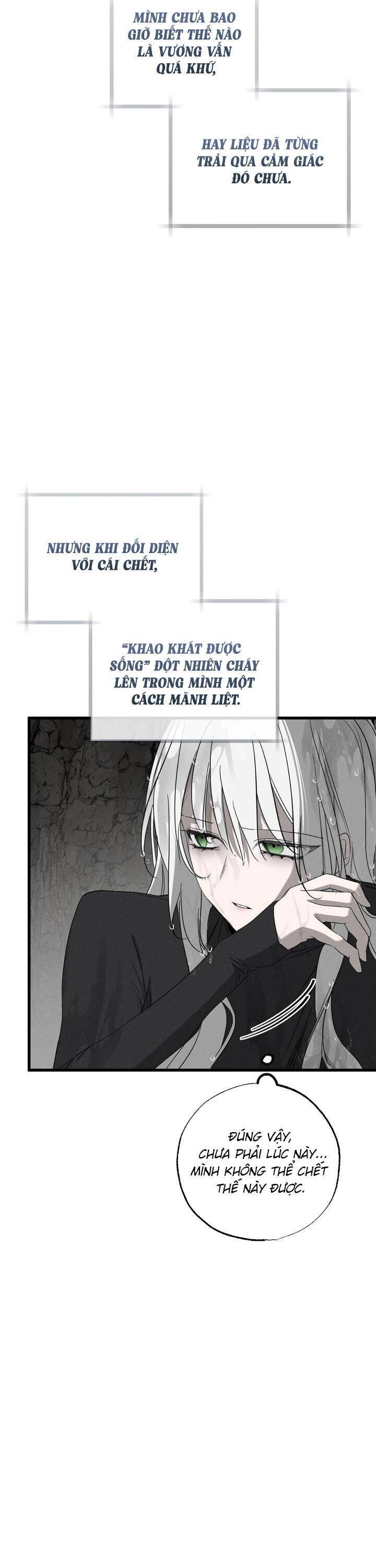 Vị Phu Quân Căm Ghét Tôi Đã Mất Trí Nhớ: Chapter 61