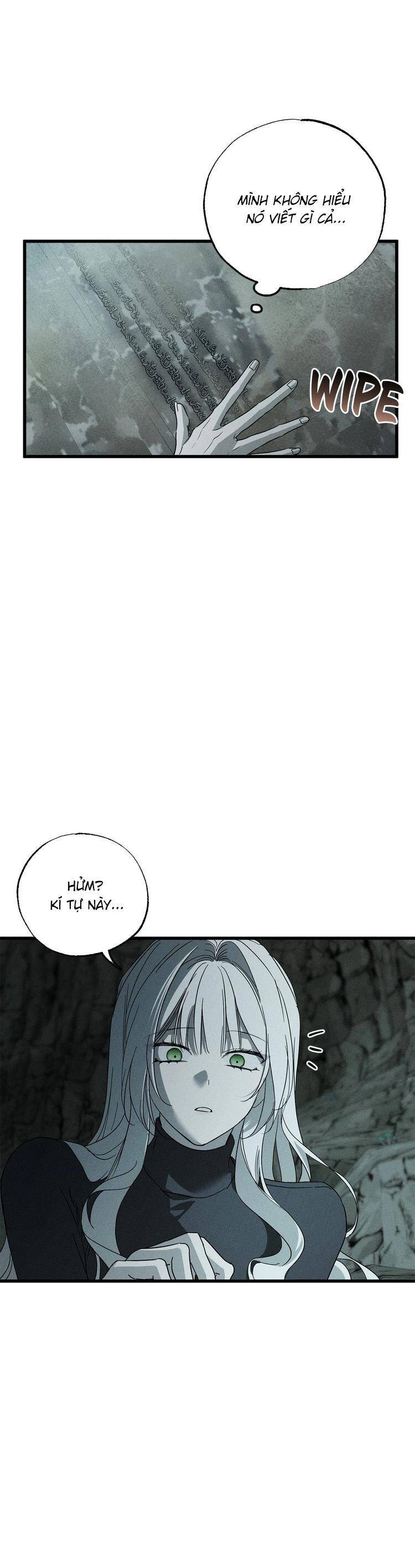 Vị Phu Quân Căm Ghét Tôi Đã Mất Trí Nhớ: Chapter 62